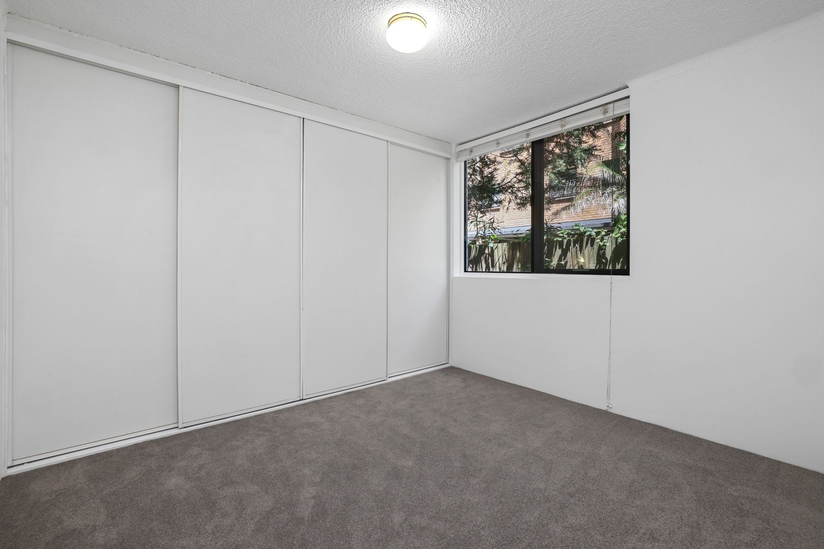 17/37 Mactier Street, Narrabeen NSW 2101 Apartment For Rent Domain