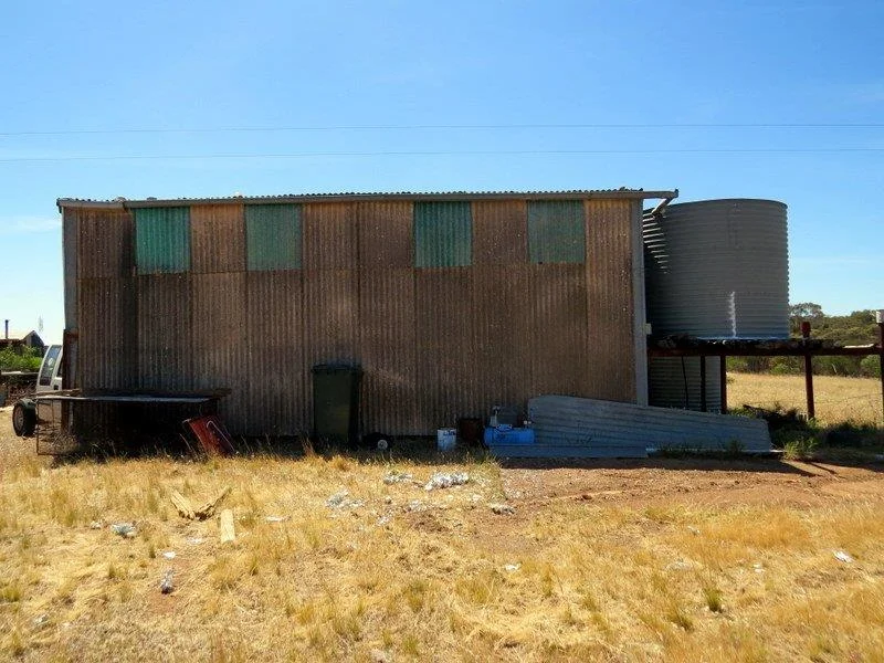 Image 13