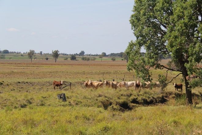 Picture of HALY CREEK QLD 4610