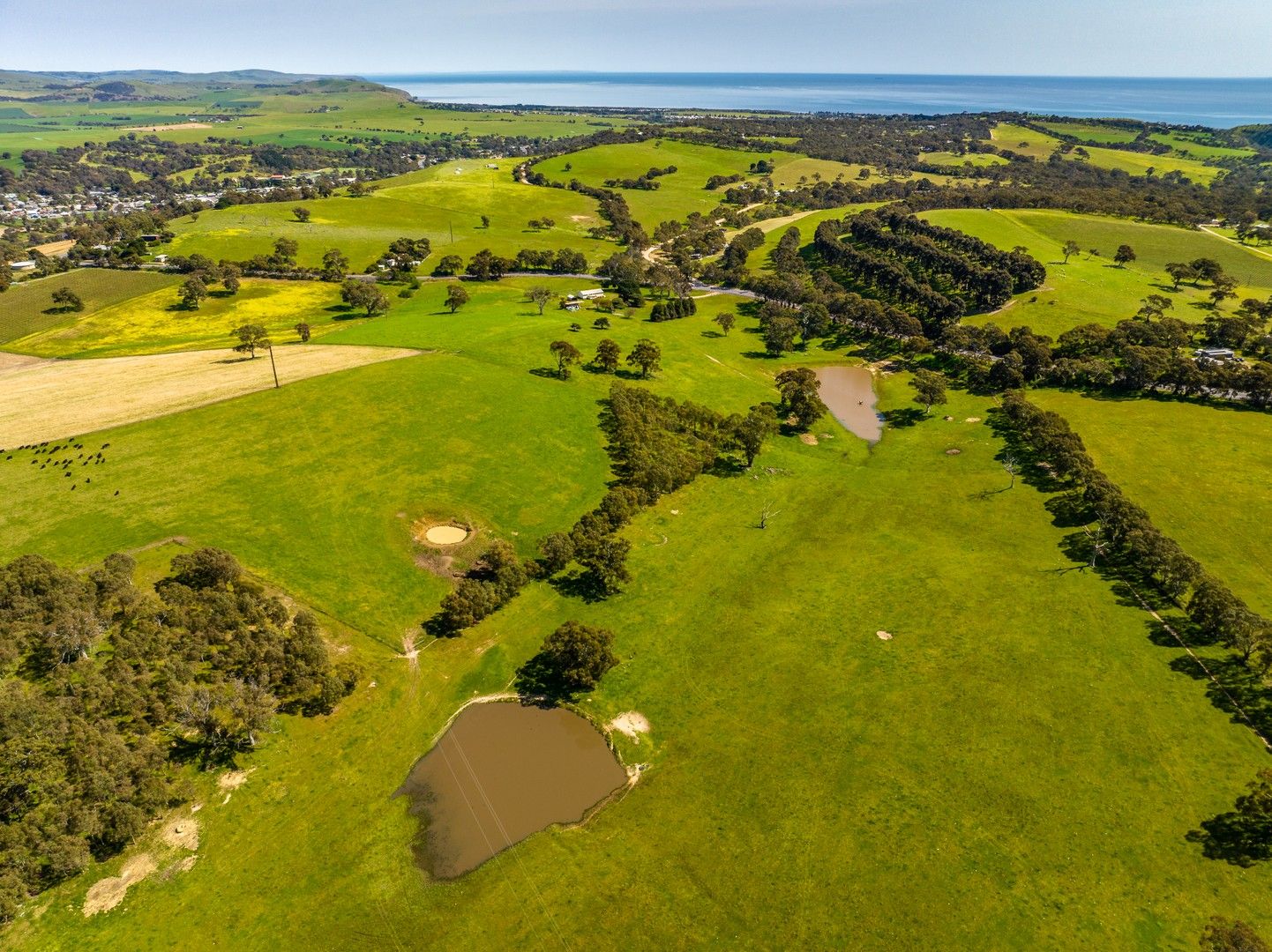 Lot 201 (Proposed), 5985 Main South Road, Yankalilla SA 5203, Image 0