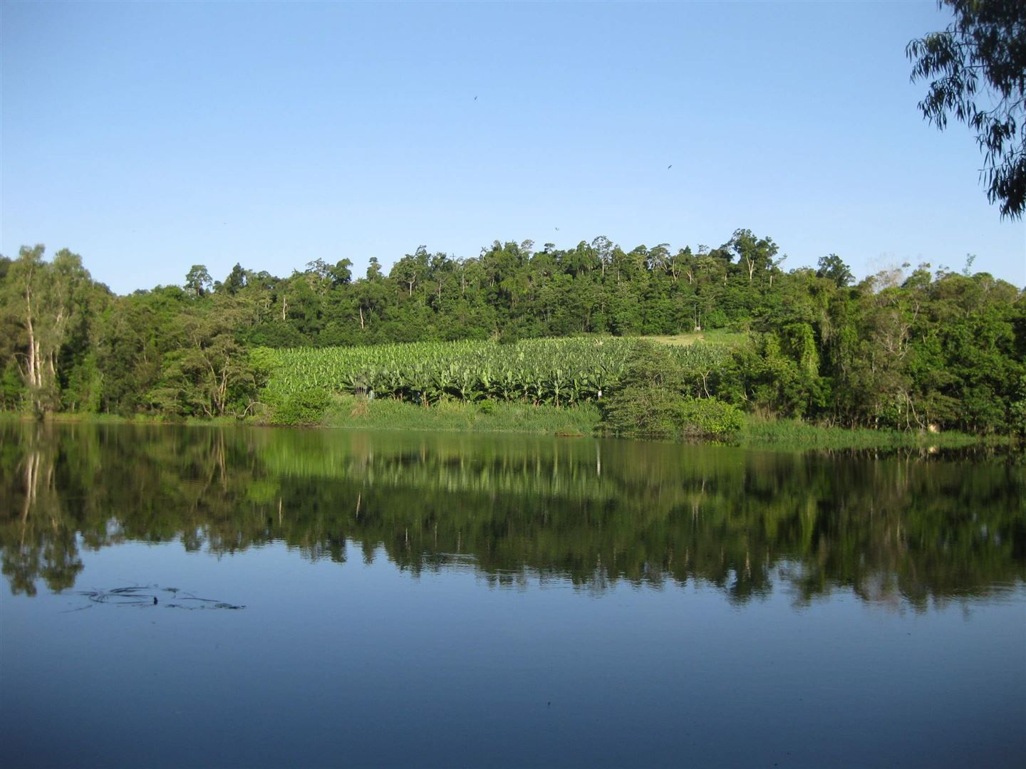 Carmoo QLD 4852 House for Sale Domain