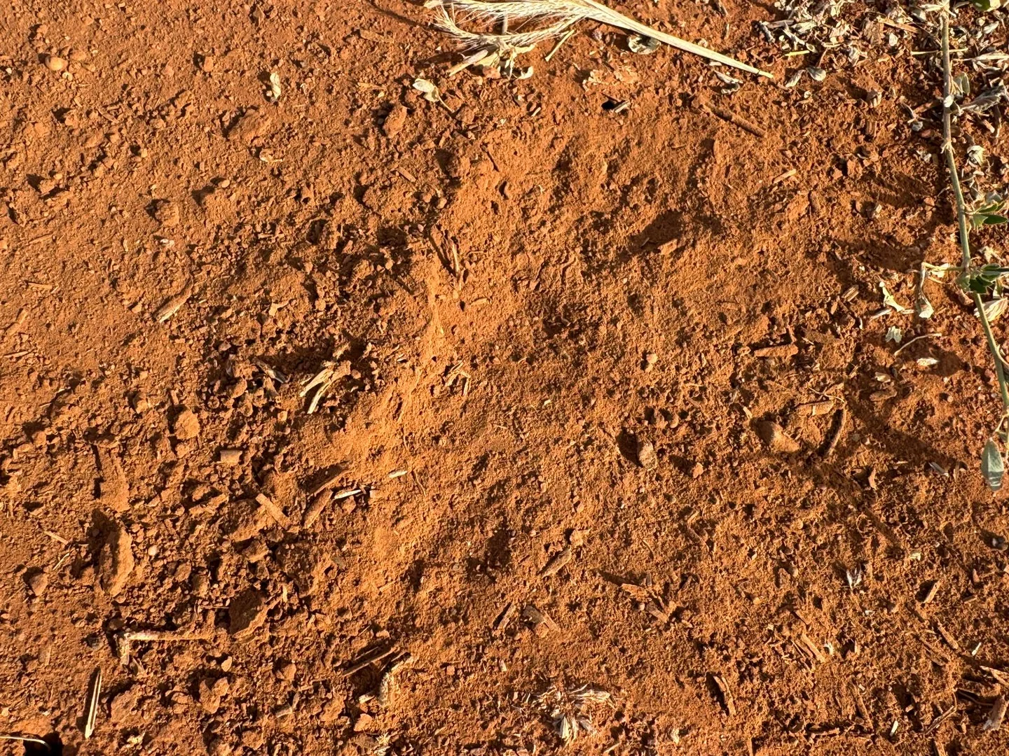 Image 13