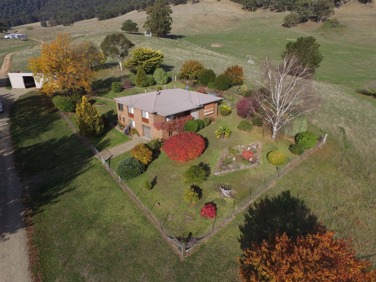 Christmas Hill - 120 Bago Forest Road, Tumbarumba NSW 2653, Image 0