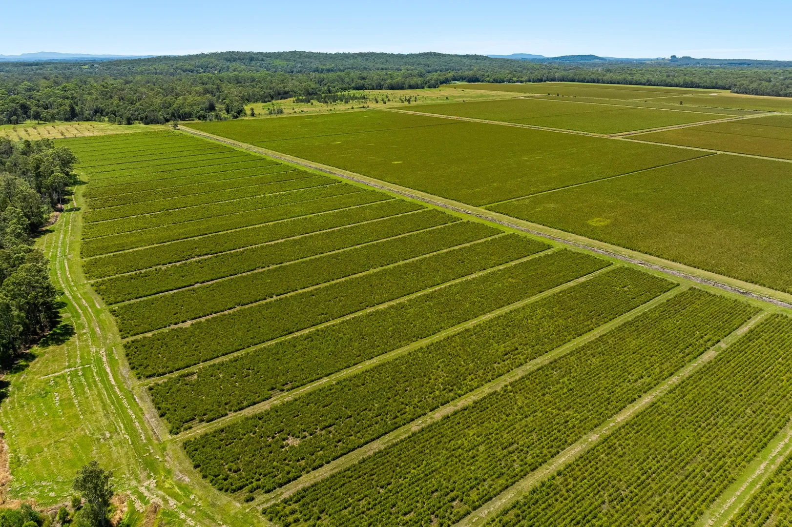 Additional image 13 of 1190 Bungawalbin Whiporie Road, Bungawalbin NSW 2469