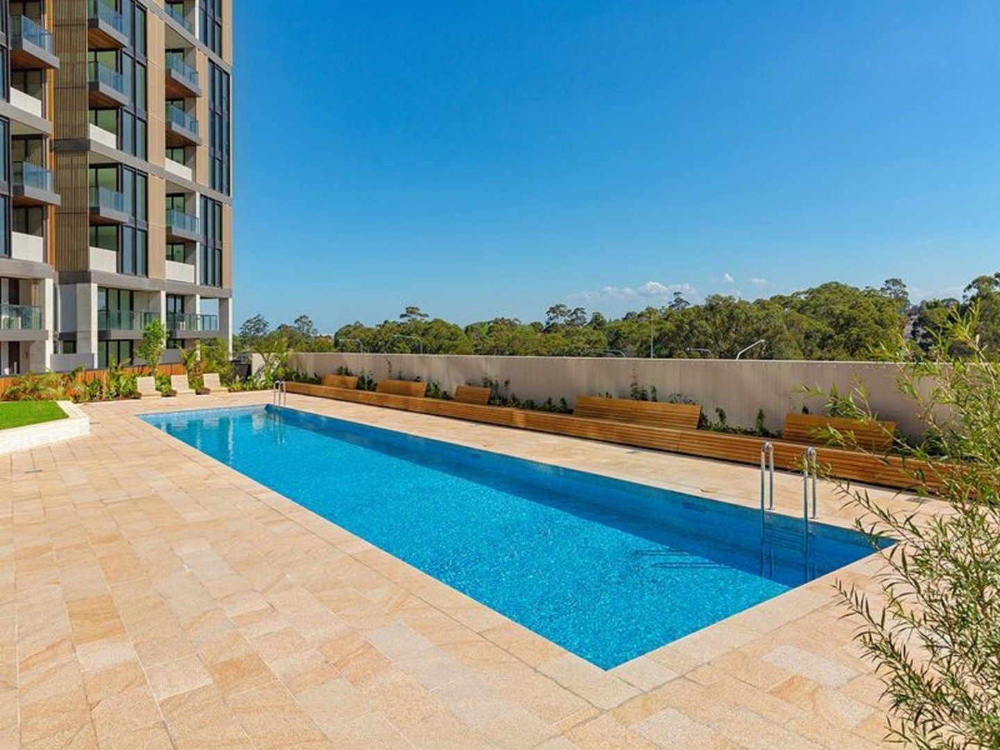 A207/1 Network Place, North Ryde NSW 2113 Apartment For Rent Domain