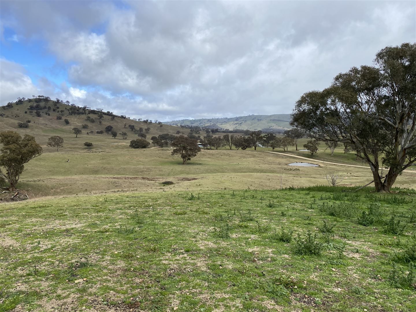 Lot 5 / 1025 Crudine Road Crudine, Mudgee NSW 2850, Image 2