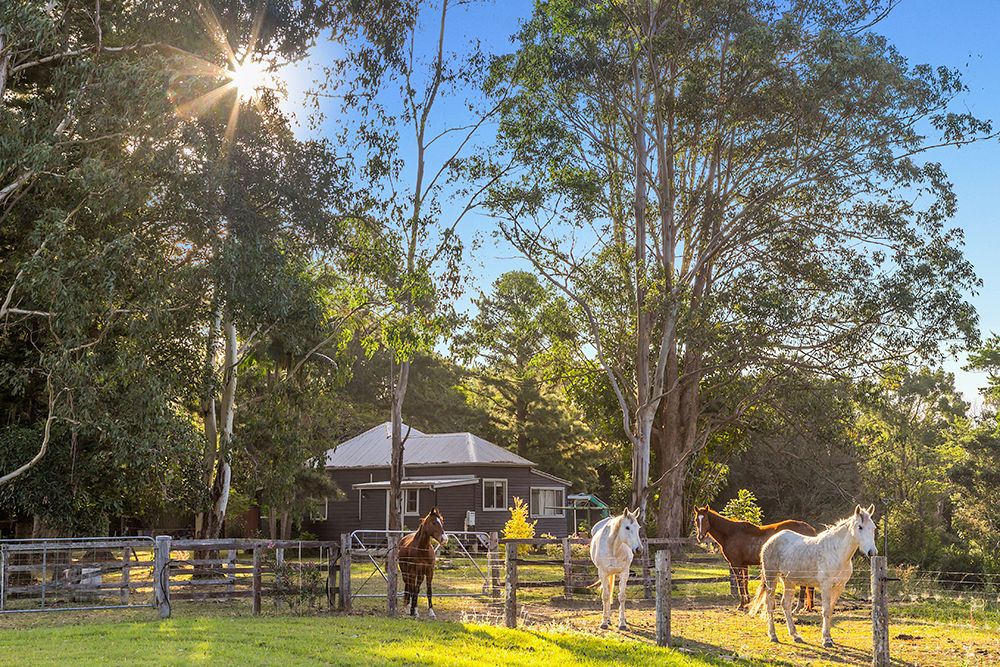 35 LOMANDRA LANE, Mullumbimby NSW 2482, Image 2