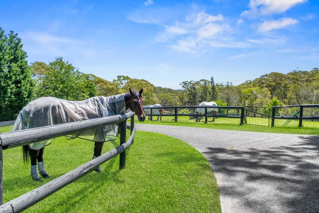 Additional image 11 of Duffys Forest NSW 2084