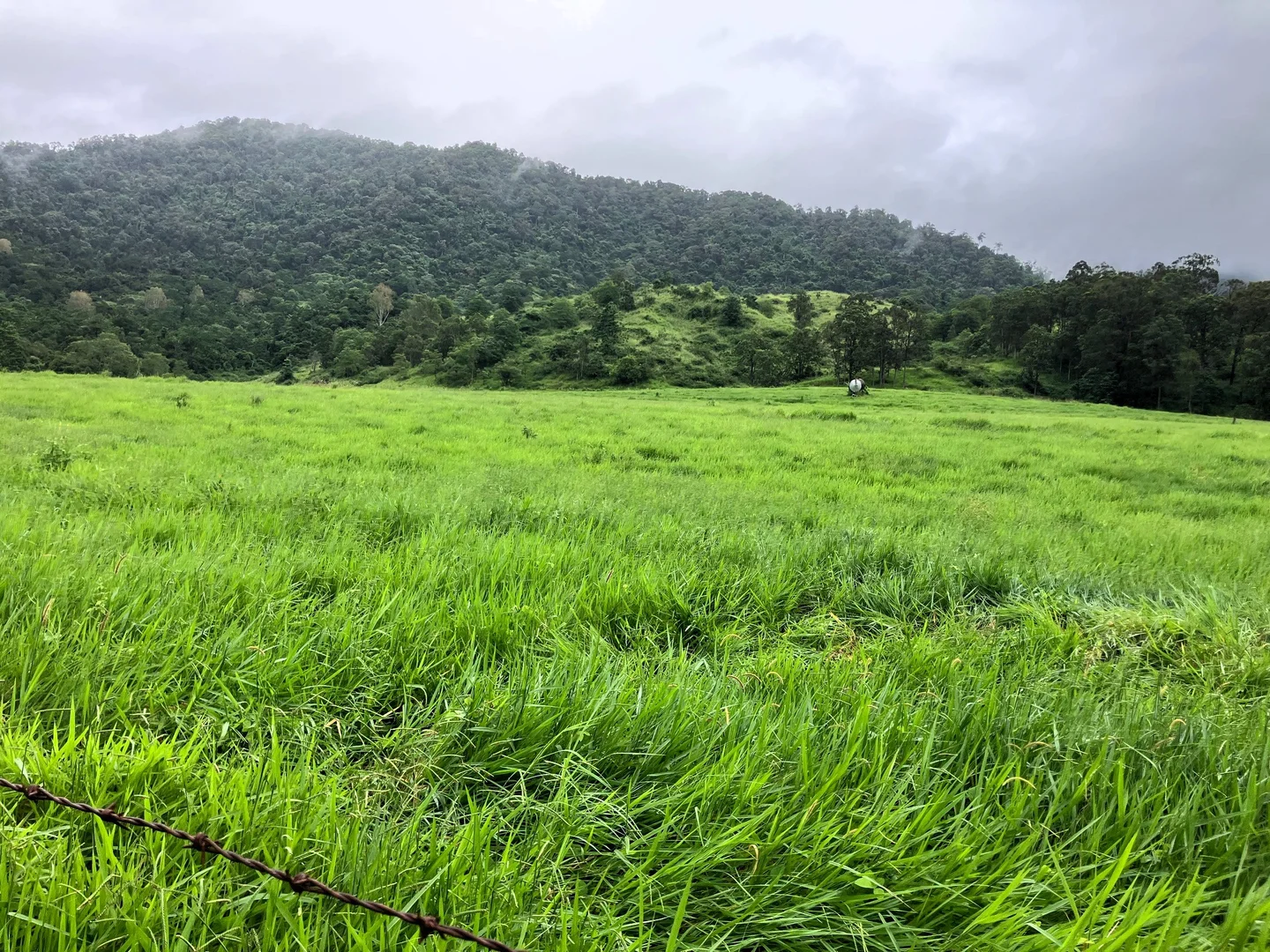 Additional image 8 of Gorge Road, Finch Hatton QLD 4756