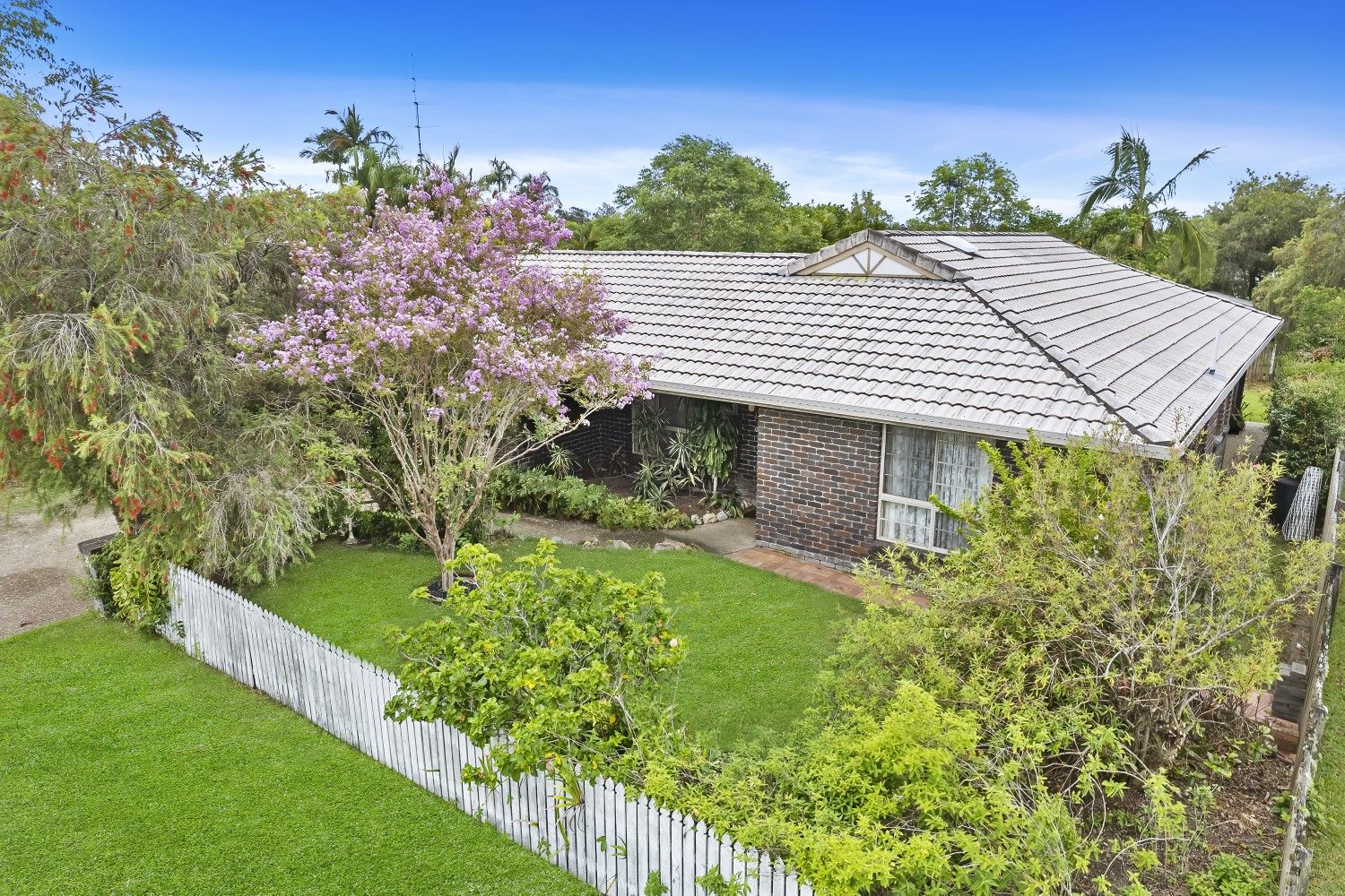 19 Woolumba Street, Tewantin QLD 4565, Image 1