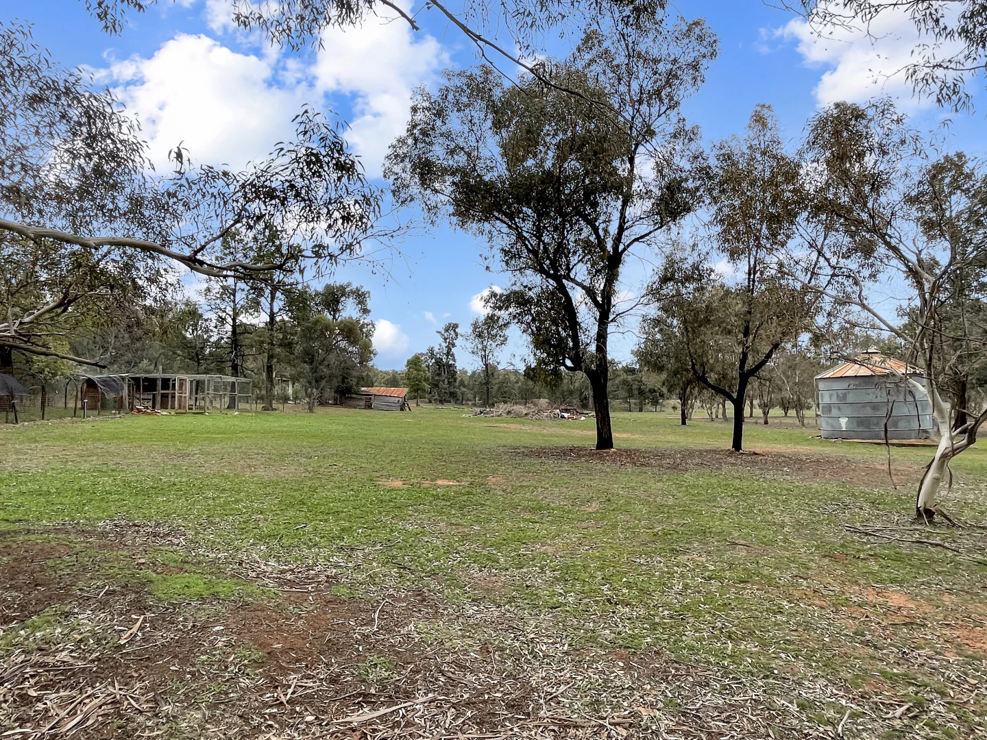 Image 19