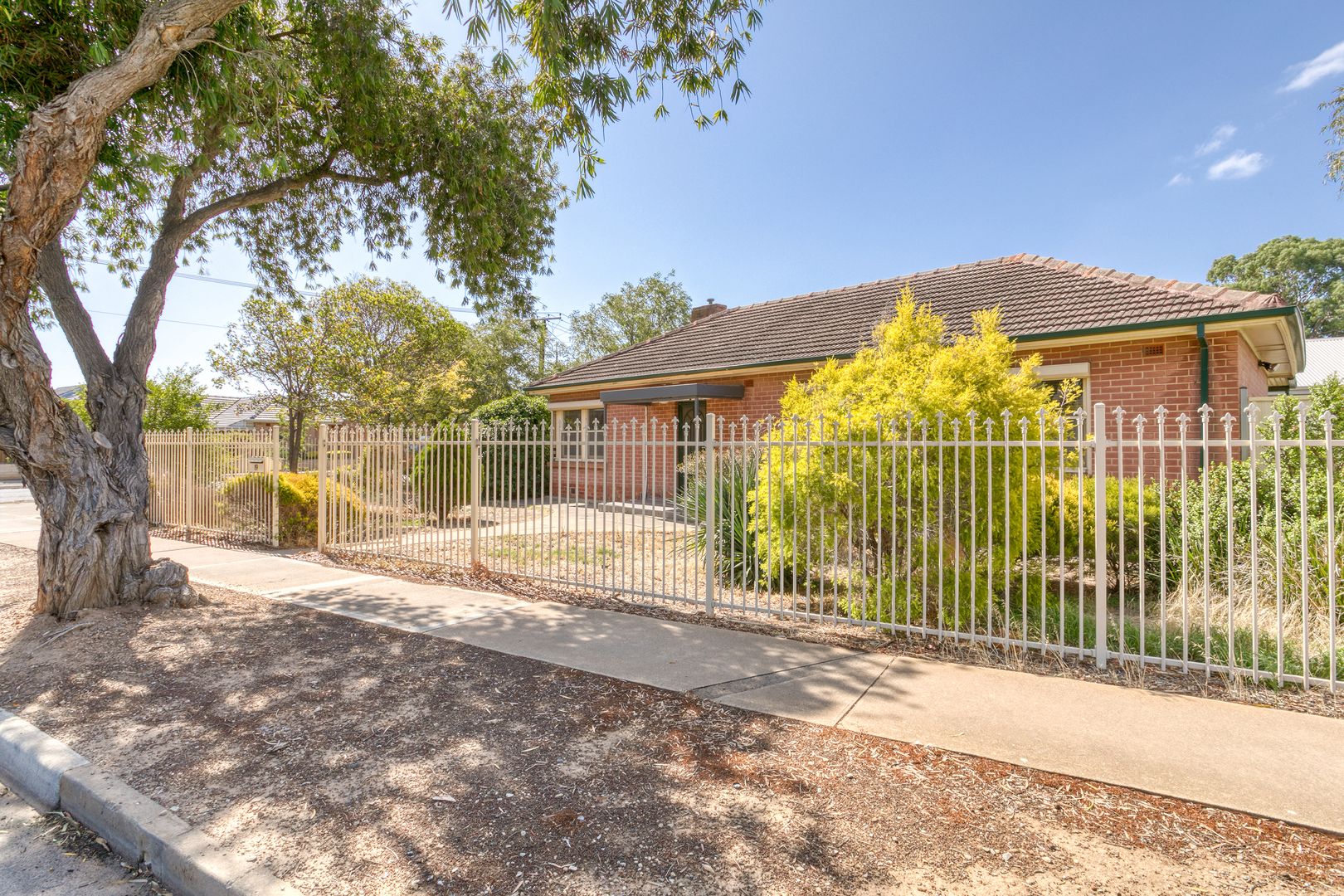 19 Bakara Street, Park Holme SA 5043, Image 2