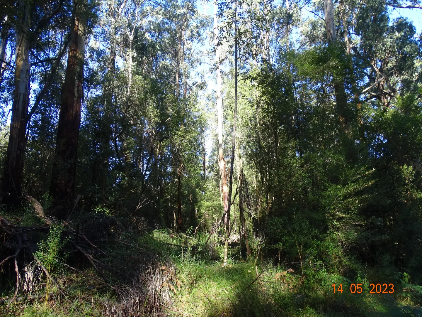 Image 14