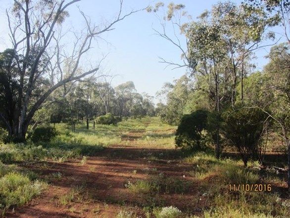 * Salt Bush Holdings, Cobar NSW 2835, Image 1