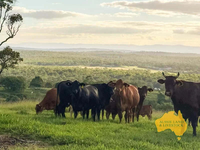 Additional image 23 of 6, . RURAL ROAD, Nanango QLD 4615