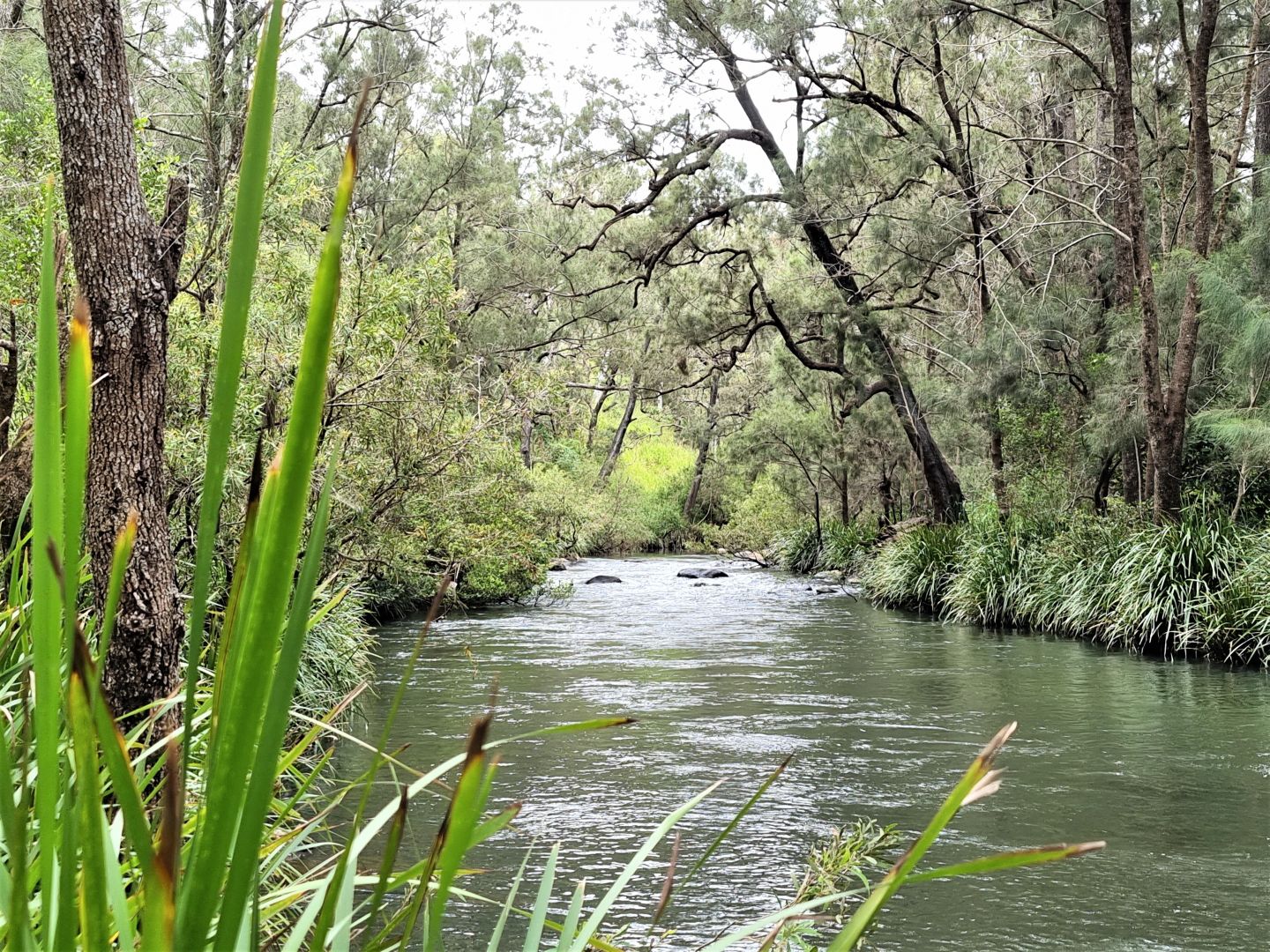 53 River Road, Millstream | Property History & Address Research | Domain