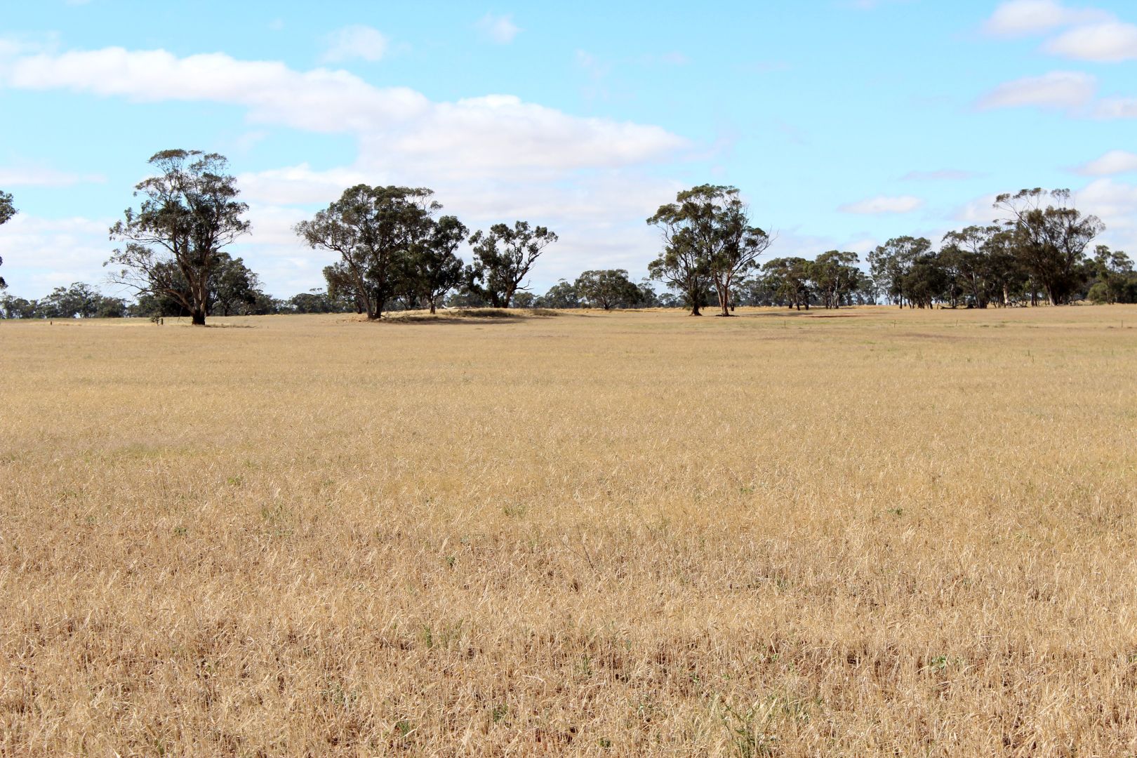 Warracknabeal VIC 3393, Image 1