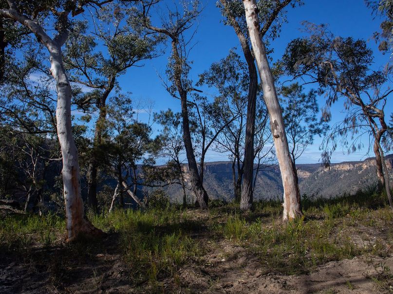 1068 Caoura Road, Tallong NSW 2579, Image 0