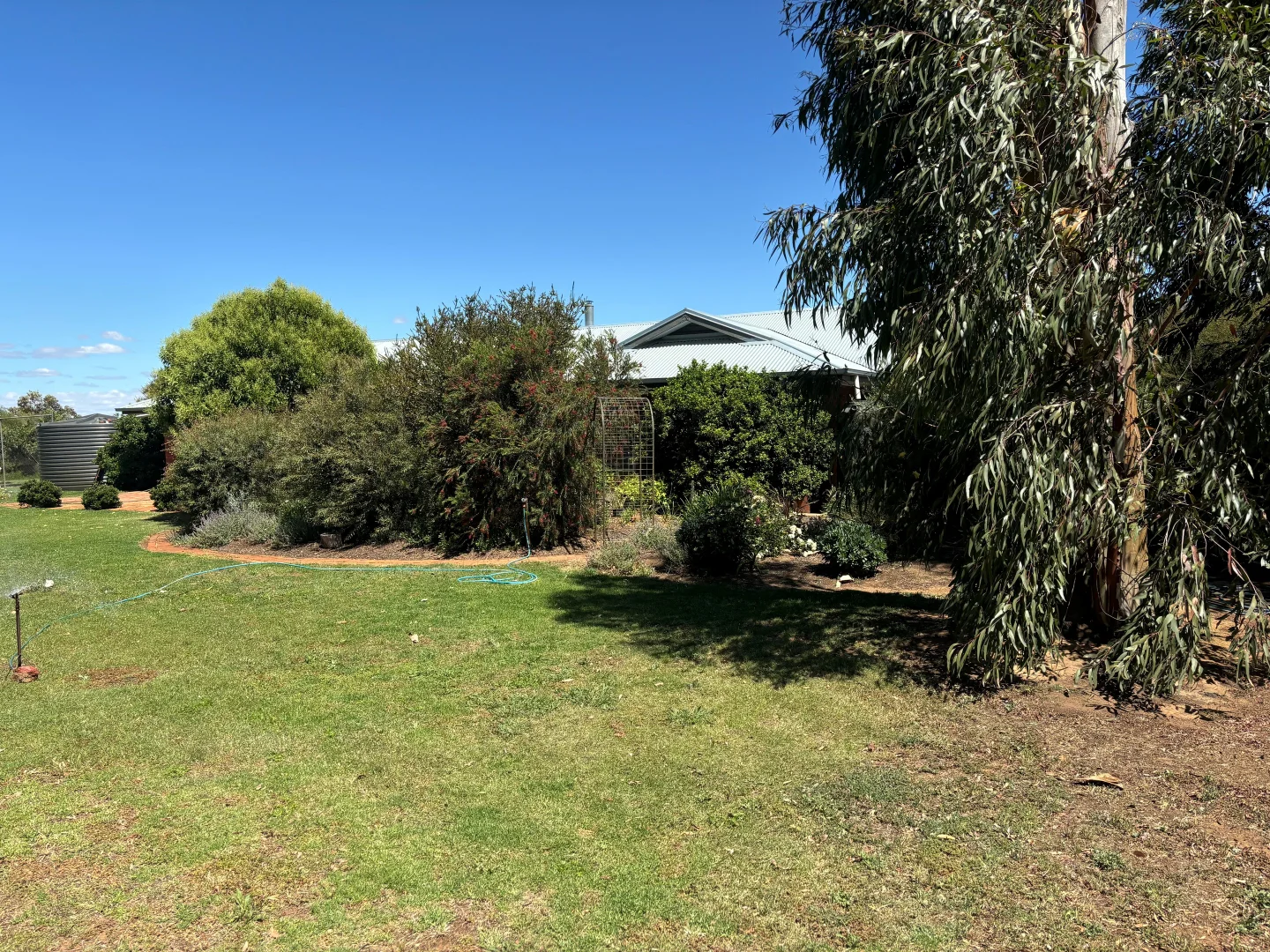 Image 25