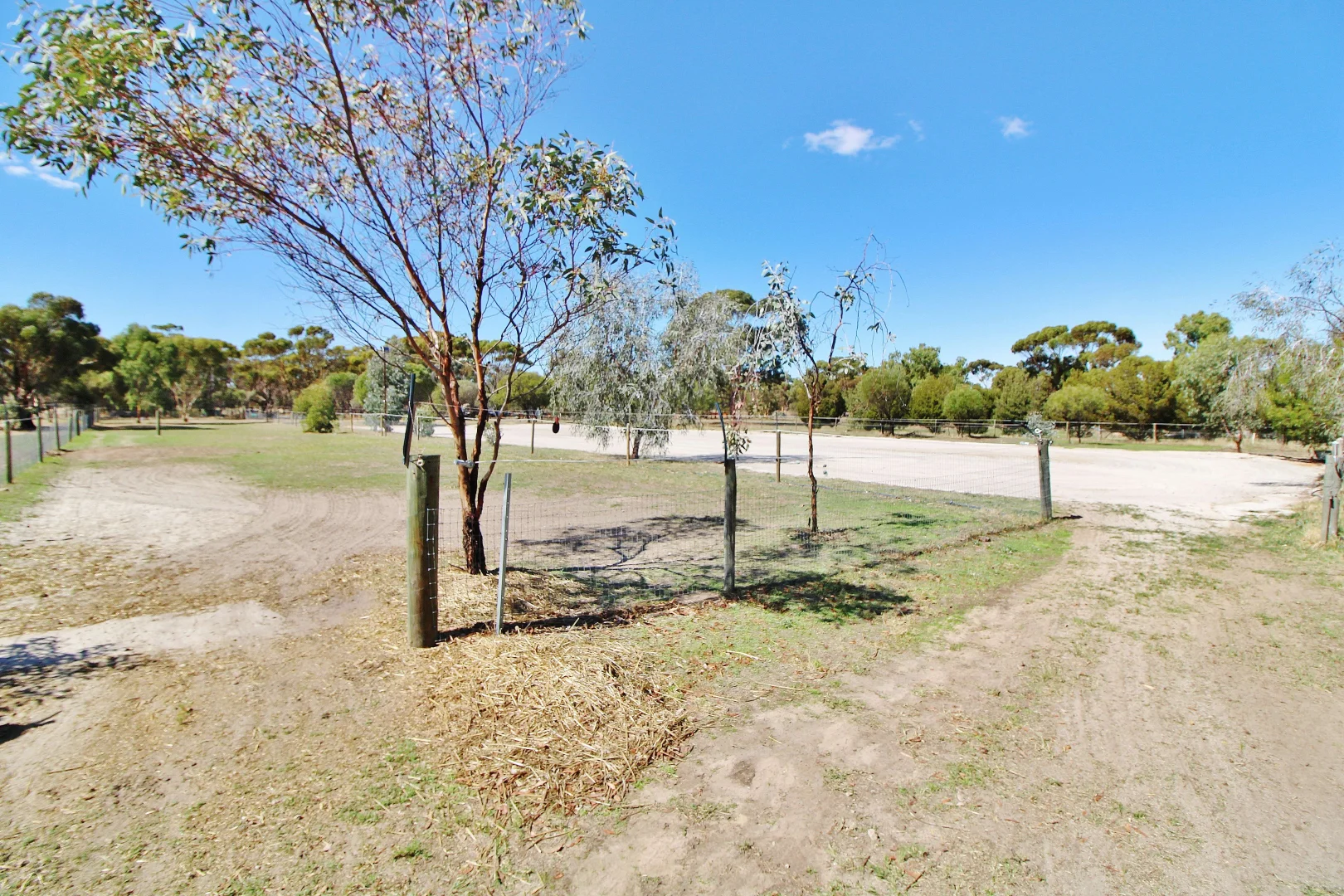 Additional image 20 of 18 COSTELLOE STREET, Wagin WA 6315
