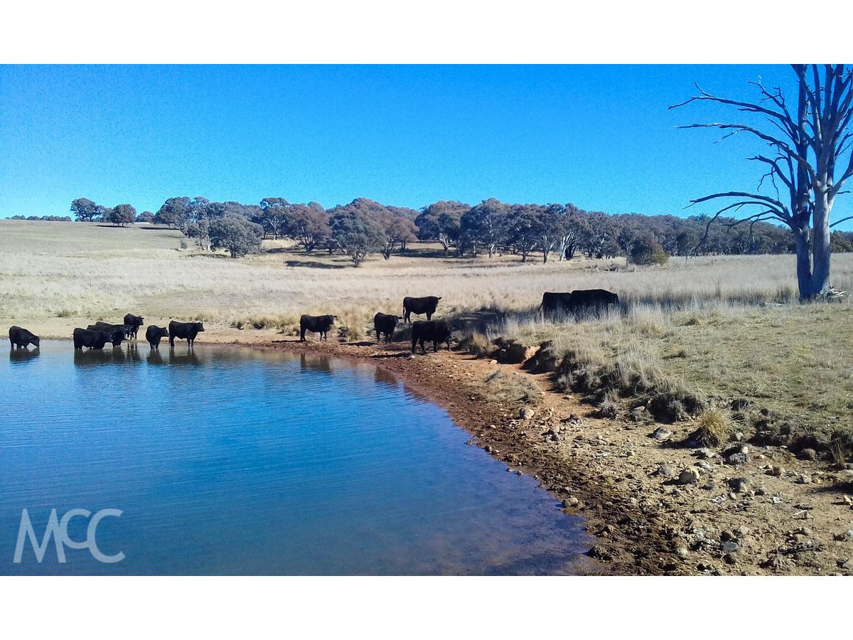 'Ferndale' 93 Caves Creek Road, Orange NSW 2800, Image 2