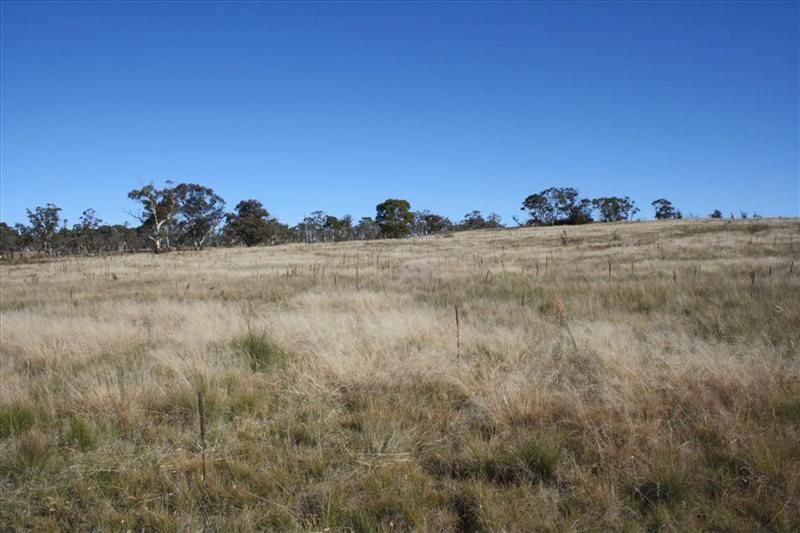 Lot 5 Towrangvale Rd, Cooma NSW 2630, Image 0