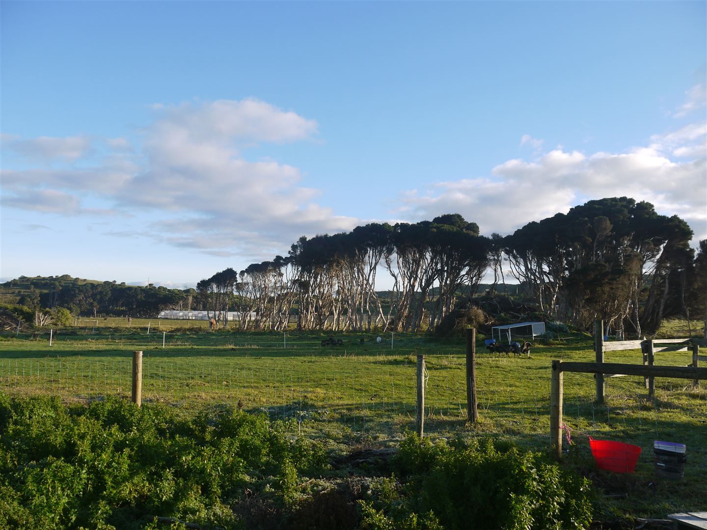 Lot 1 Stephenson Street, Currie TAS 7256, Image 2