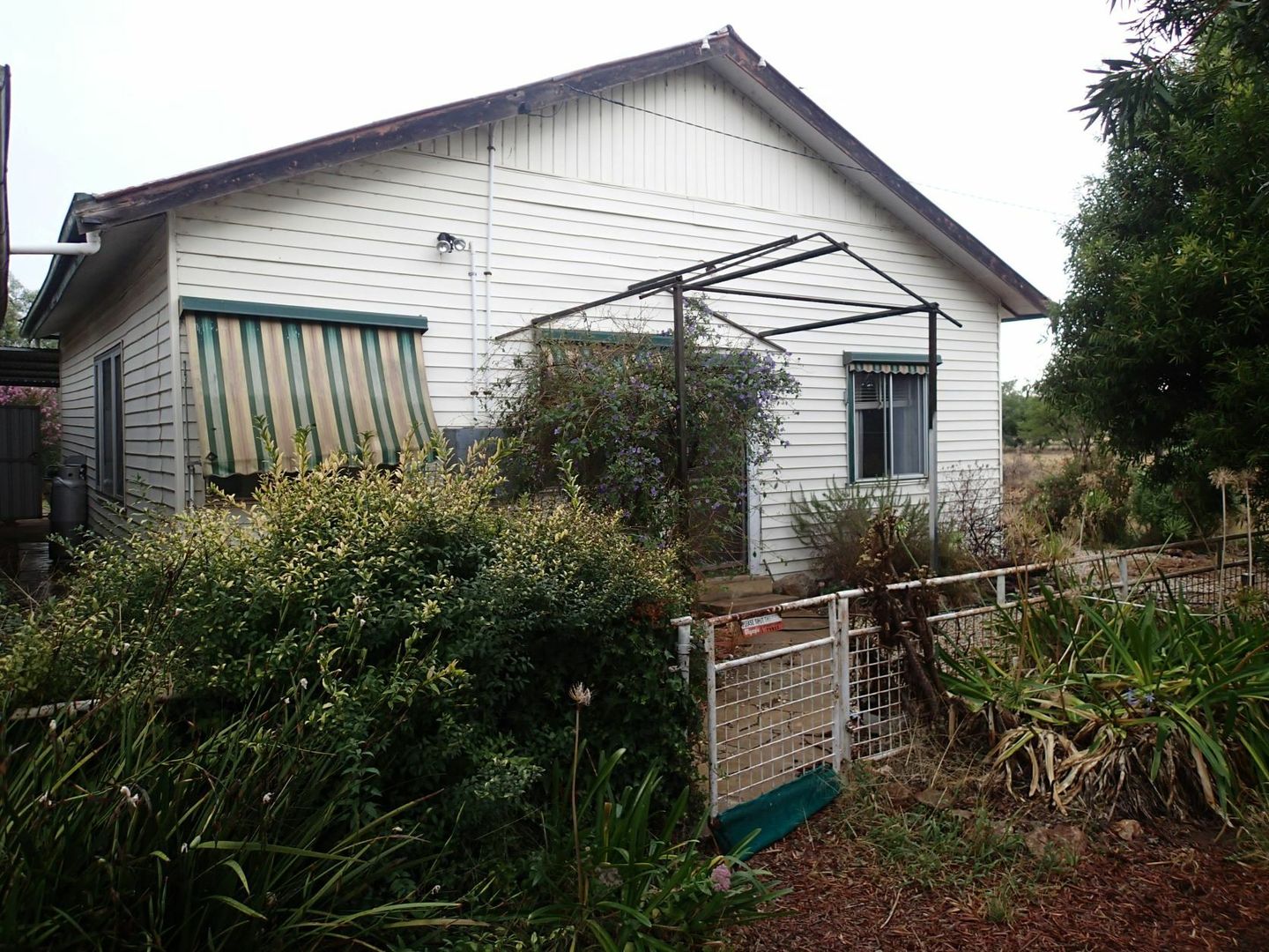 3-5 Young Street, Daysdale NSW 2646, Image 1