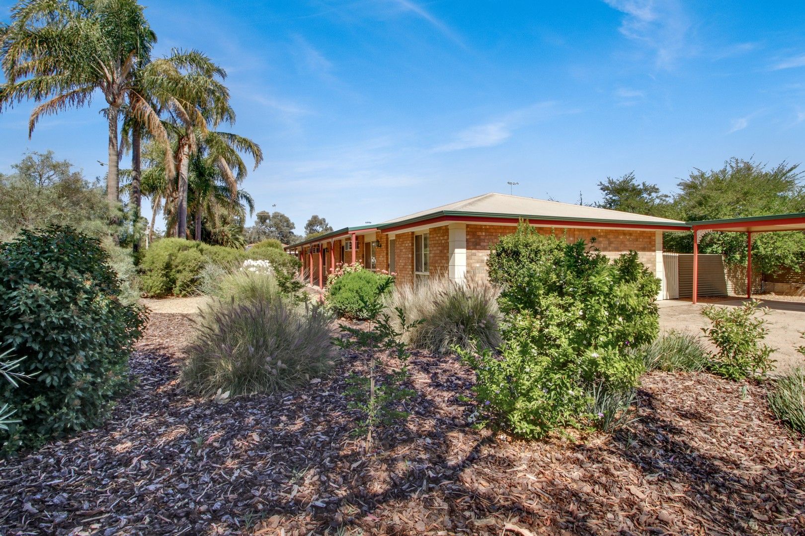 171 Ral Ral Avenue, Renmark SA 5341, Image 0