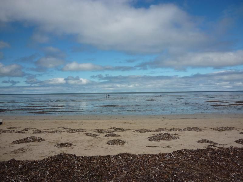 7 Stint Avenue, Thompson Beach SA 5501, Image 1