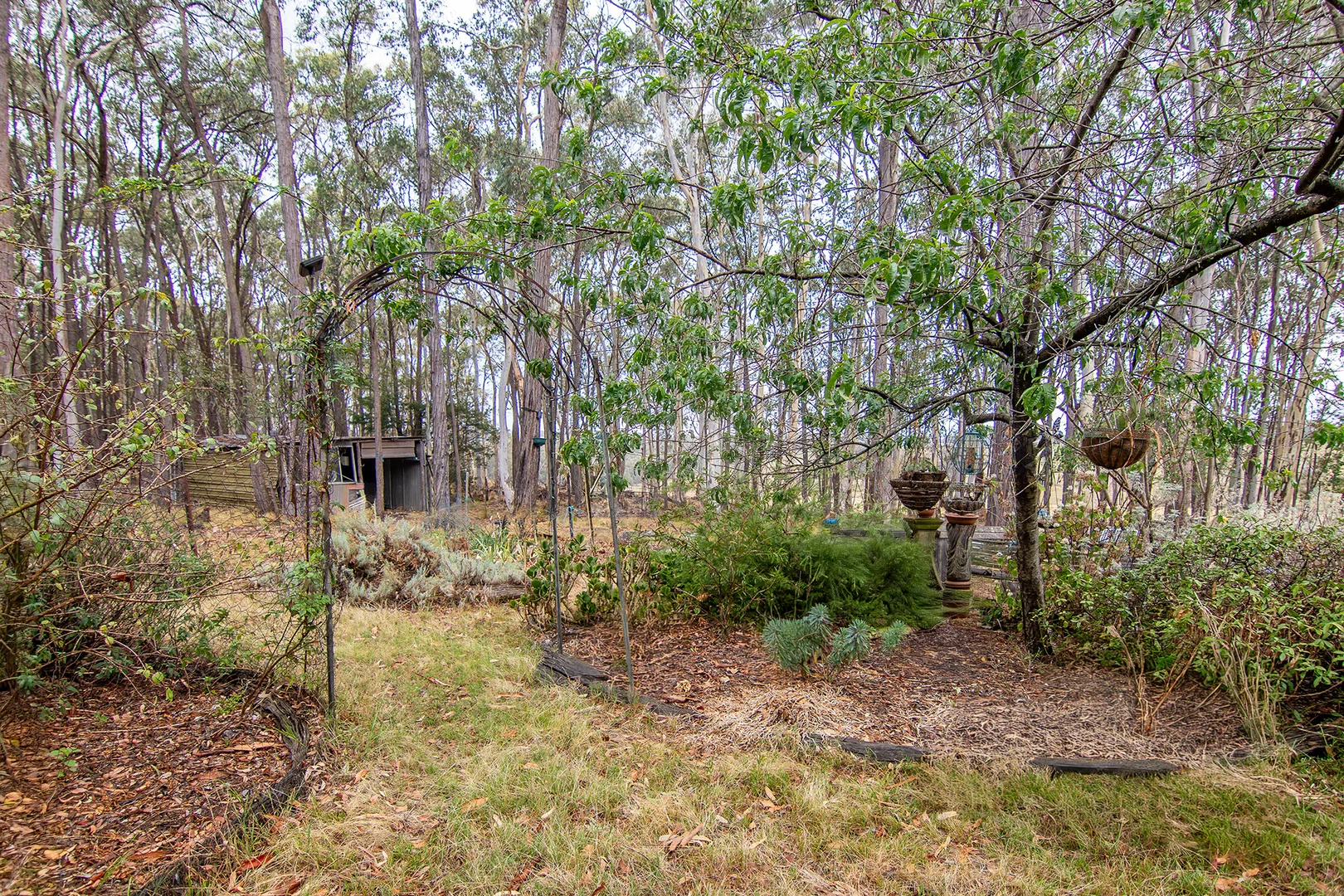 Image 12