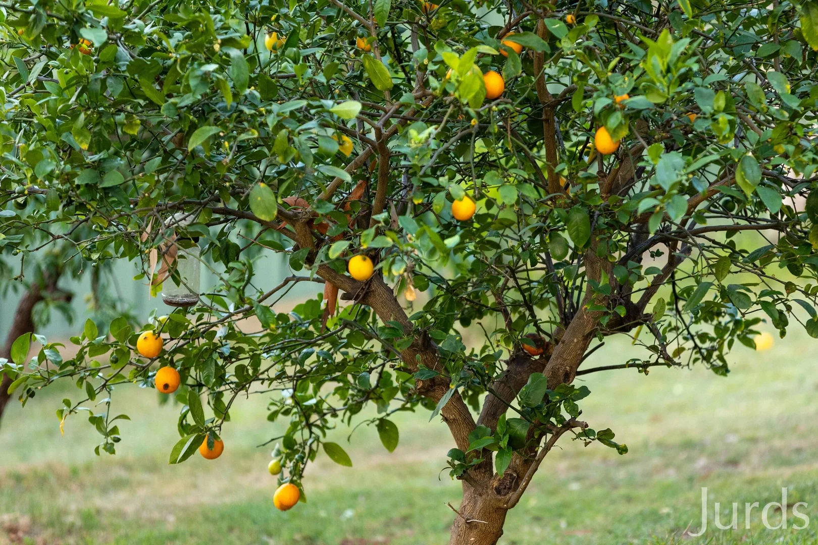 Additional image 33 of 68 Keelendi Road, Bellbird Heights NSW 2325