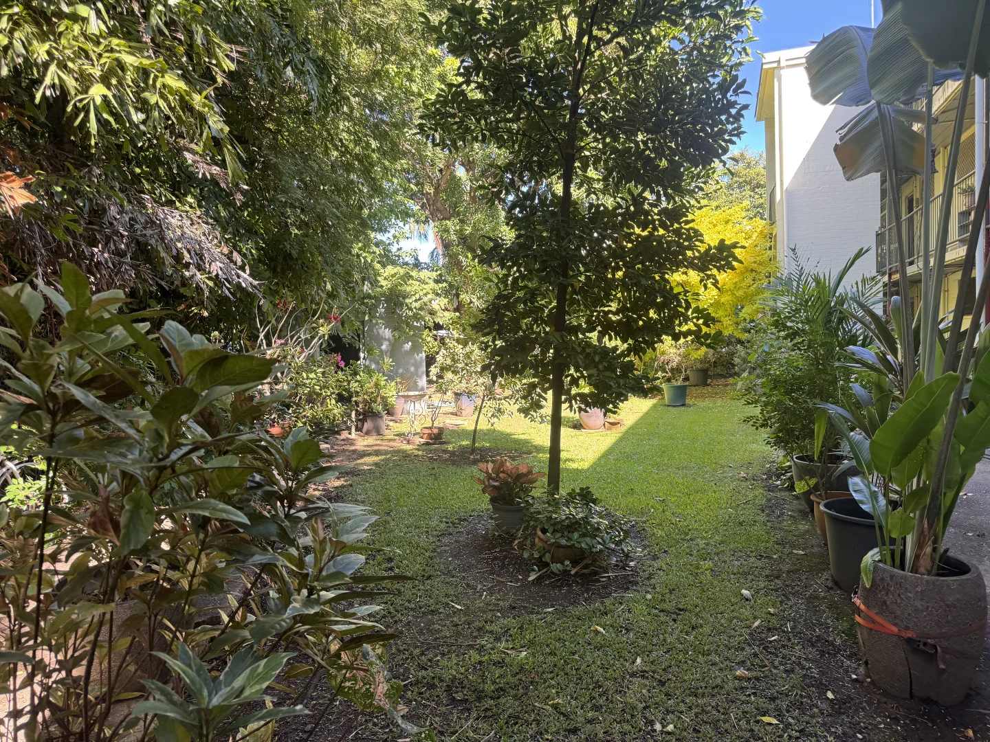 Image 11