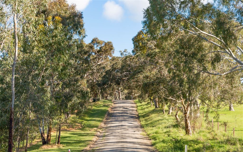 Lot 52 Parsons Road, Inman Valley SA 5211, Image 2