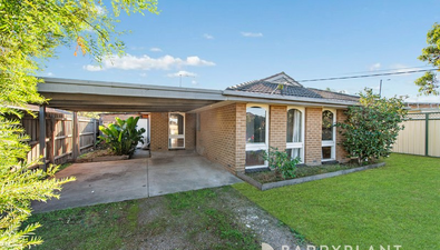 Picture of 50 Callanan Drive, MELTON SOUTH VIC 3338