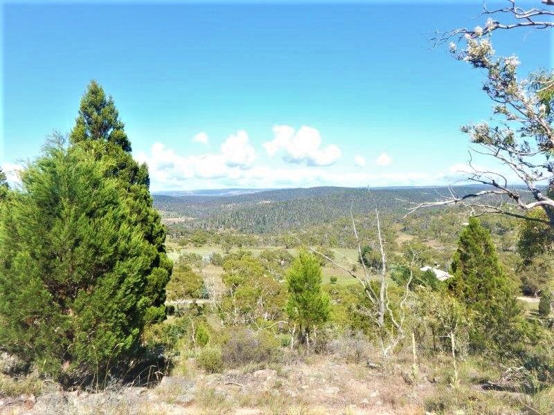 Lot 209 Bidgee Road, Binjura NSW 2630, Image 0