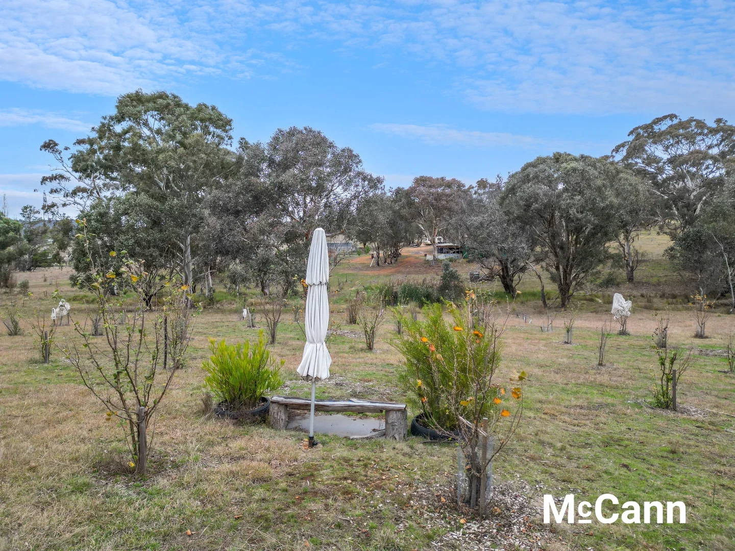 Image 15