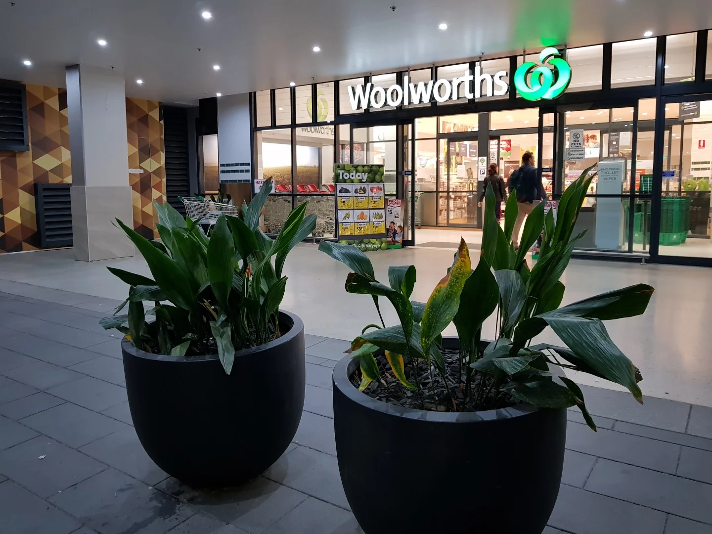 Additional image 10 of 204b/2 Muller Lane, Mascot NSW 2020