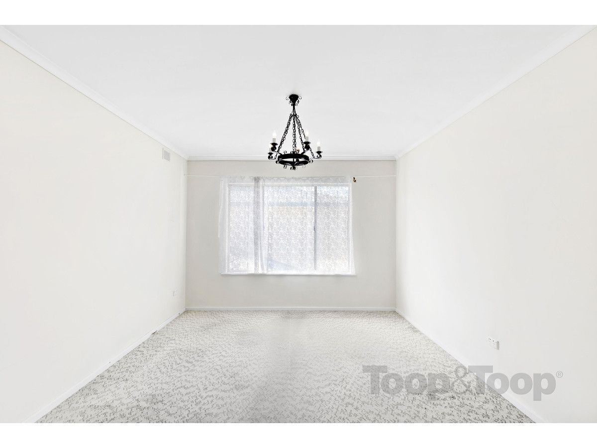 8/313A Young Street, Wayville SA 5034, Image 1