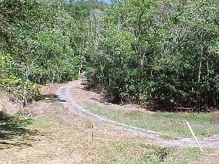 DeMeio Drive, Wonga Beach QLD 4873, Image 1