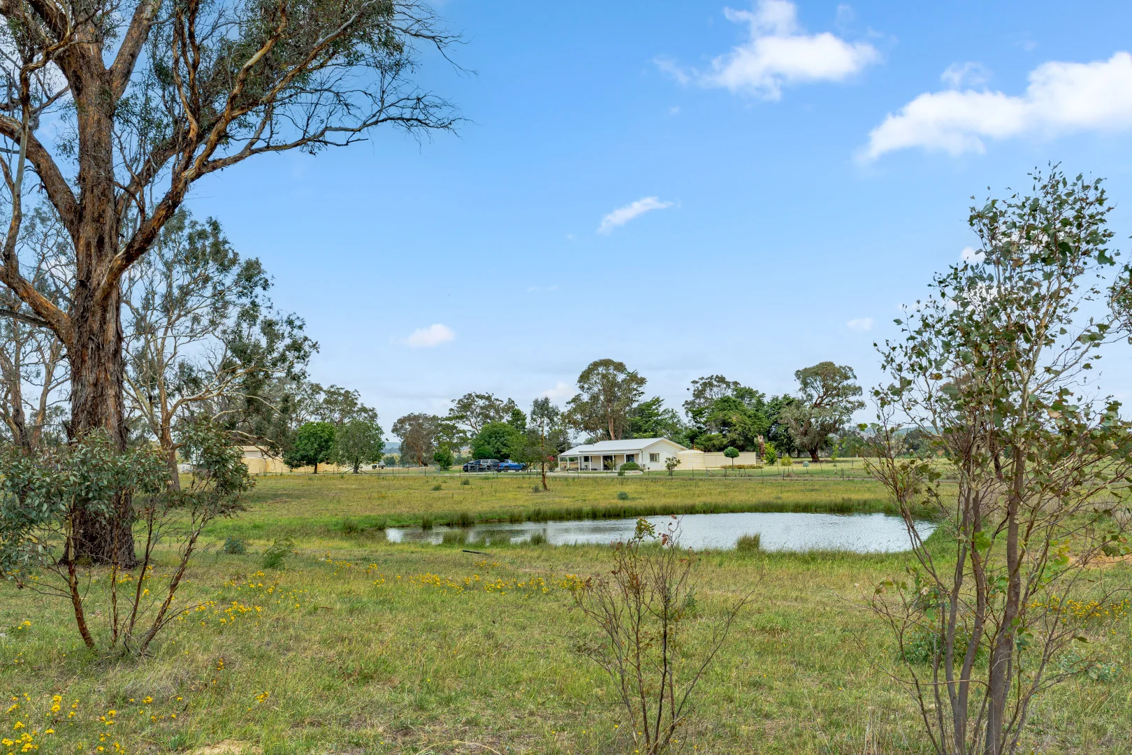 Image 38