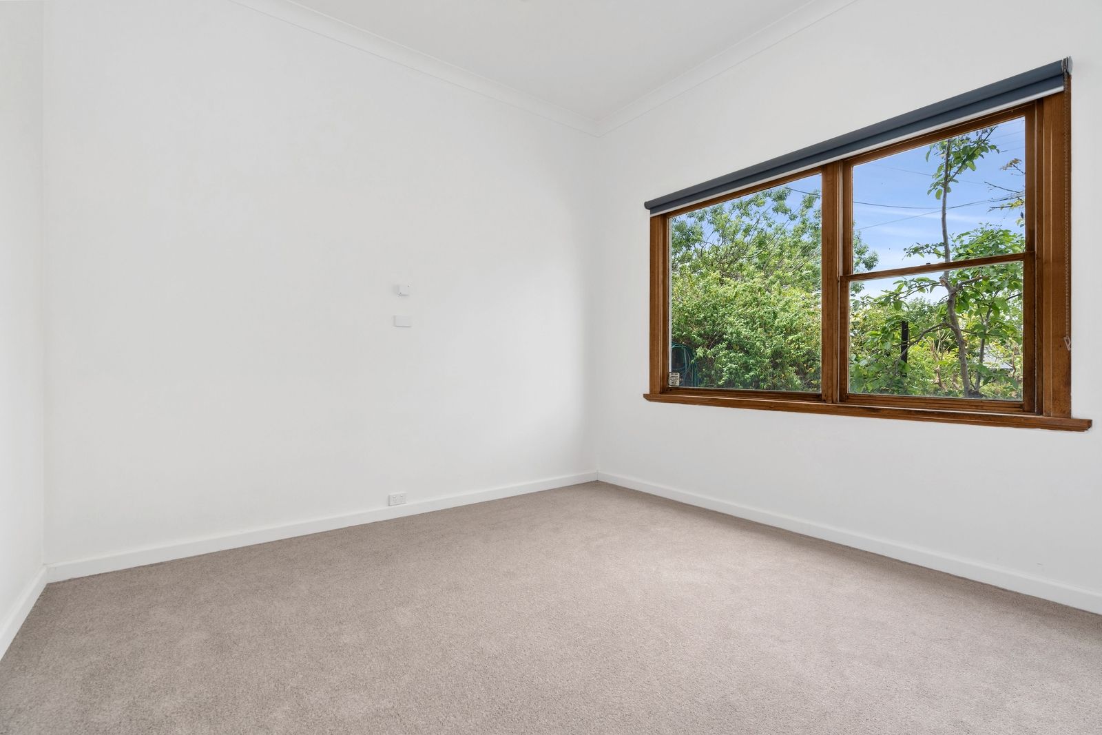 167 Minerva Road, Newtown VIC 3220, Image 2