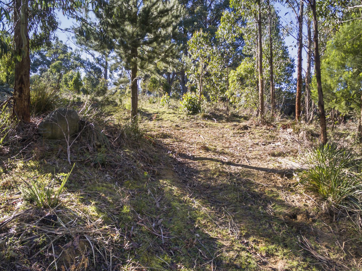 3 Alfred Street, Nubeena TAS 7184, Image 2