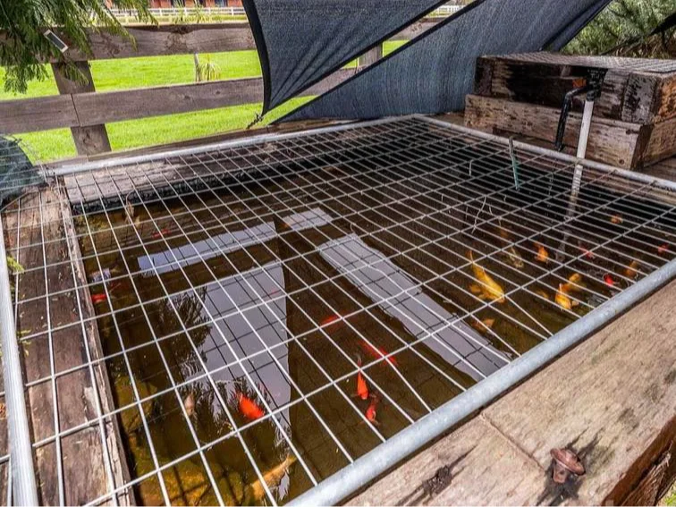 Additional image 10 of 20 Gilbert Road, North Dandalup WA 6207