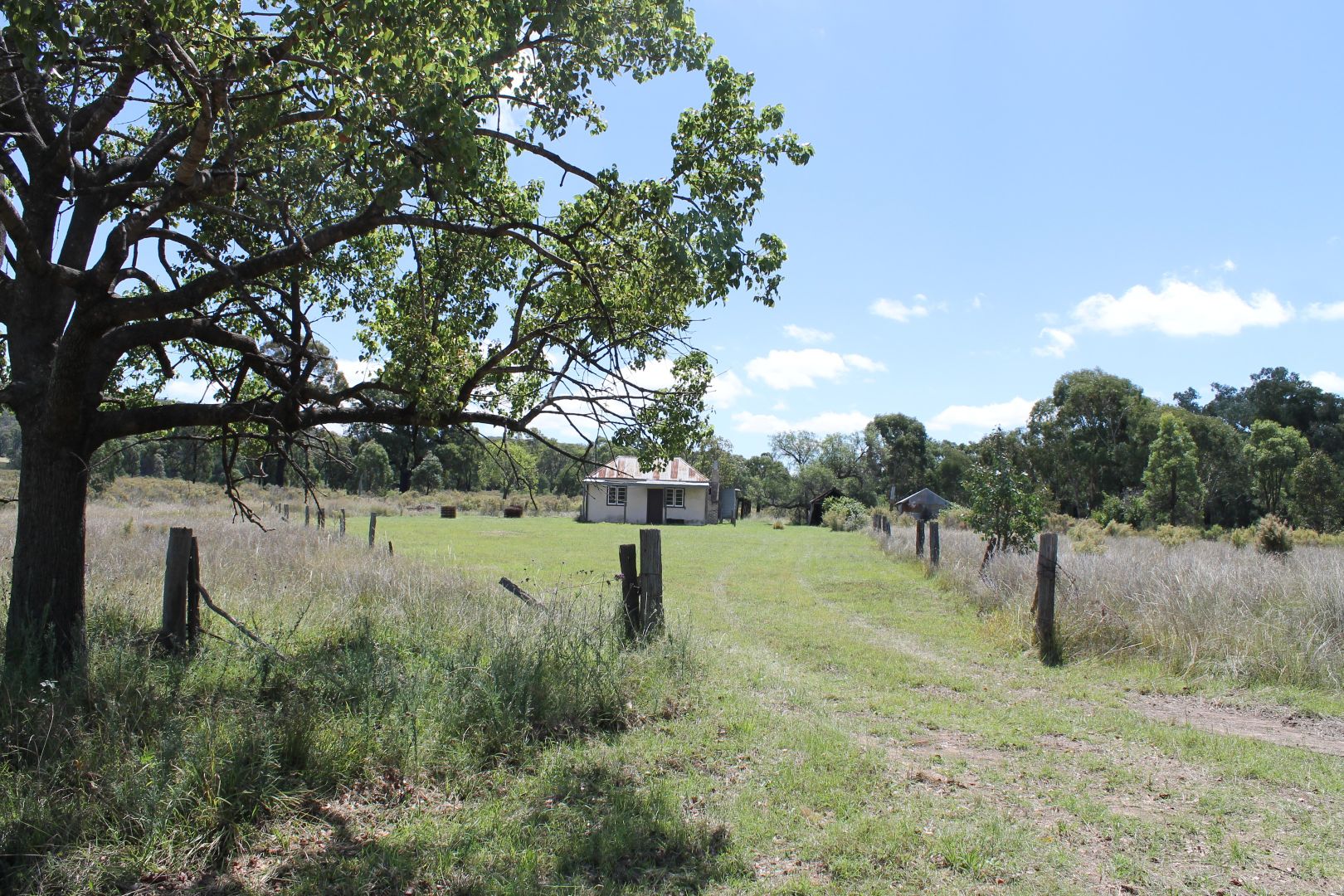 1995 Barneys Reef Road, Barneys Reef NSW 2852, Image 1