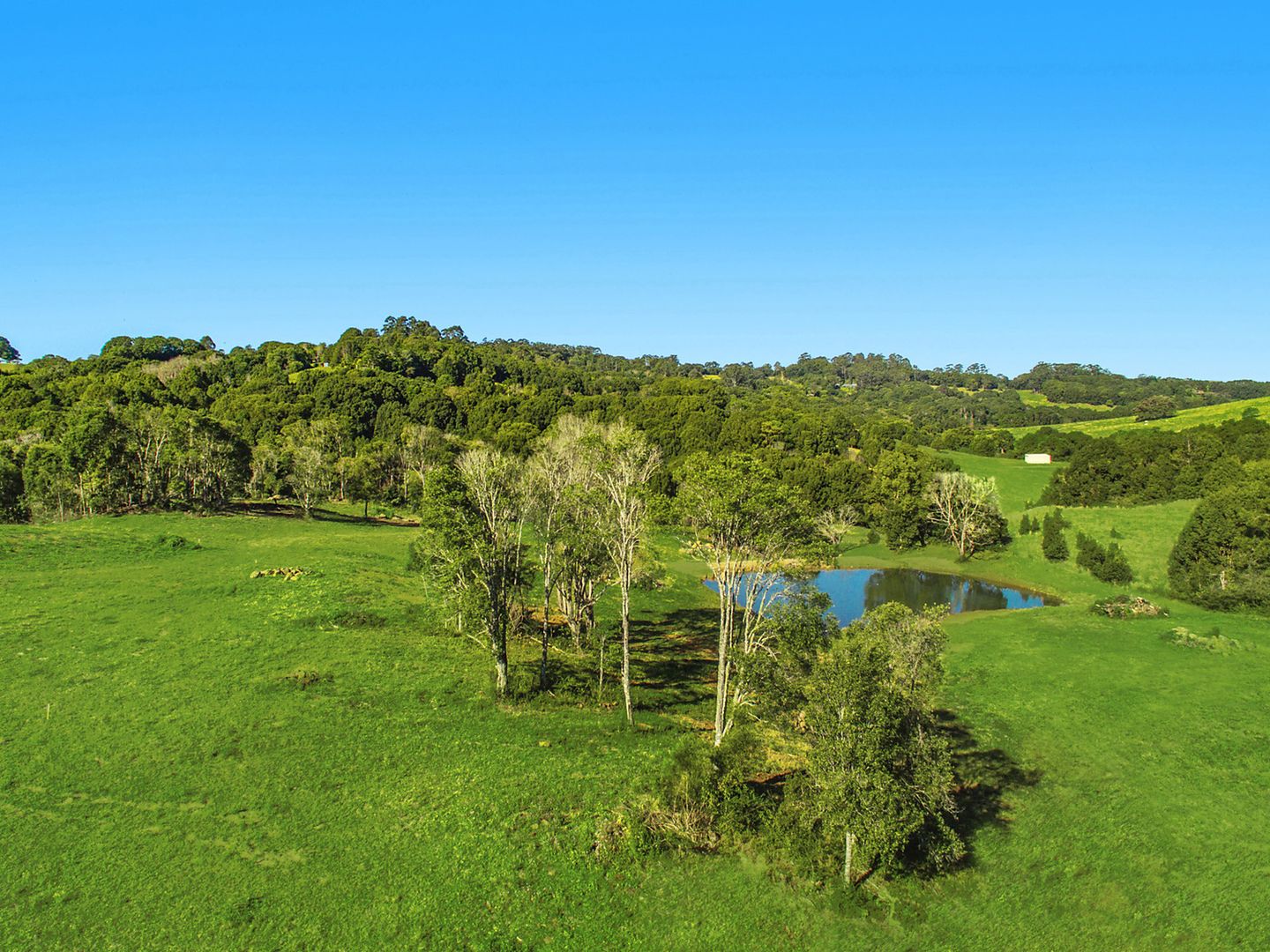 105 Keys Road, Coorabell NSW 2479, Image 1