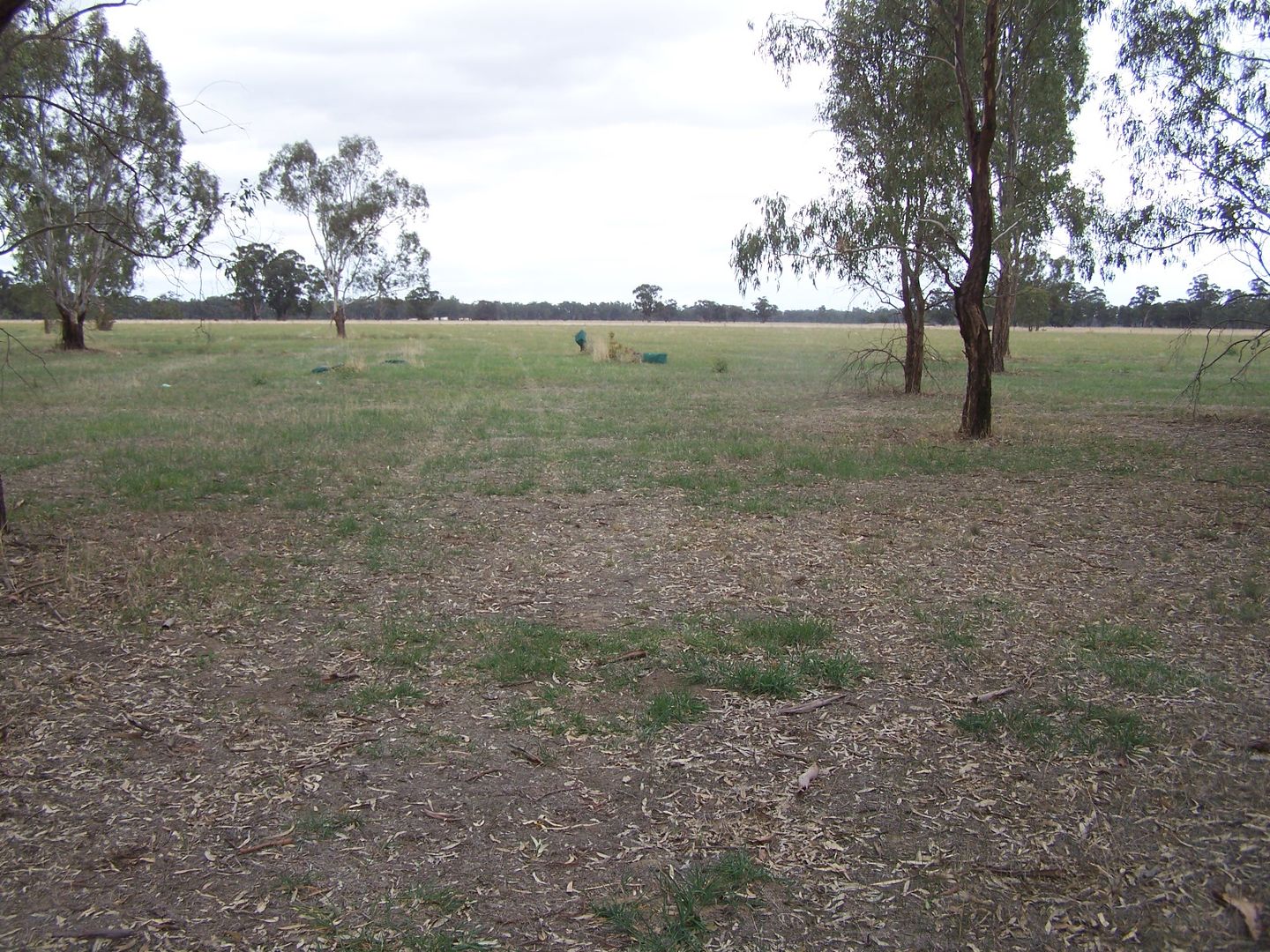 Nagambie VIC 3608, Image 2