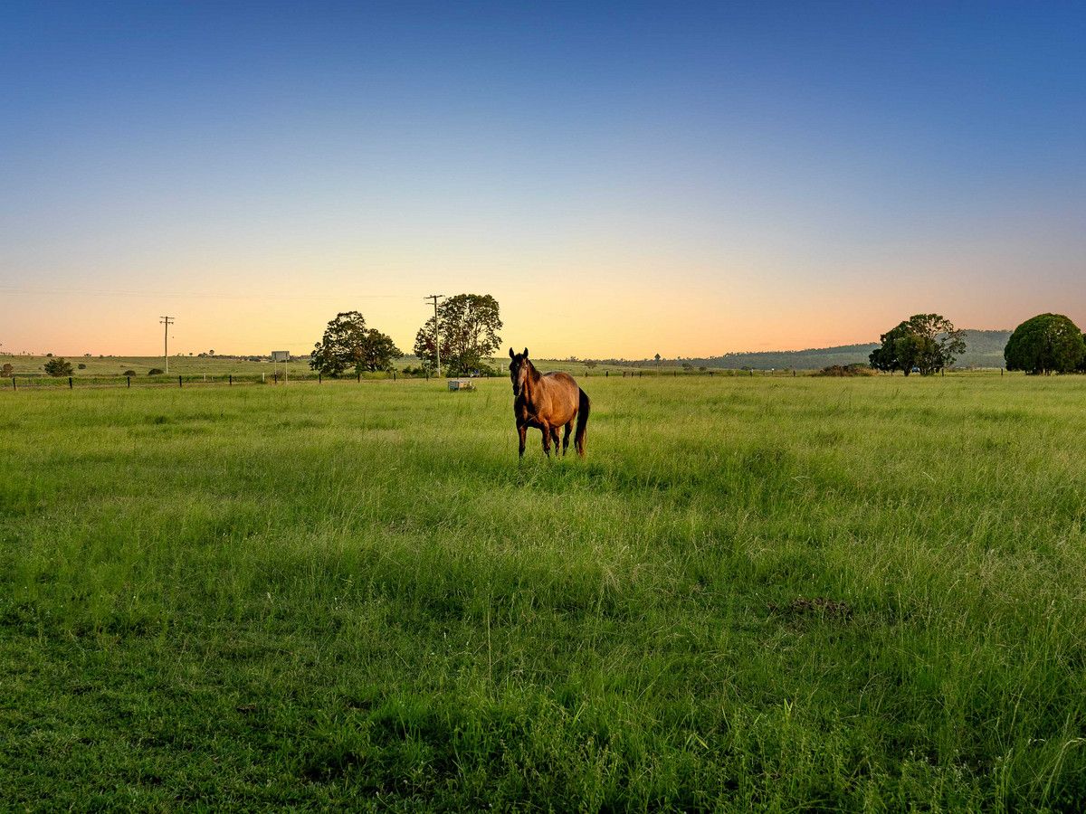 915 Rosewood Warrill View Road, Lower Mount Walker QLD 4340 House for