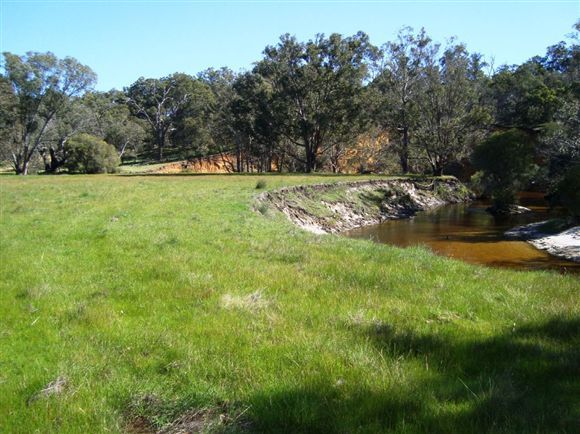 Lot 221 Nabaroo Road, Cowalla WA 6503, Image 0