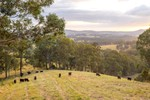 Image 15